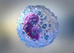 中國醫藥大學新竹附設醫院 免疫細胞3D動畫 中國附醫 文章顯示