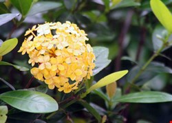 文章縮圖