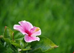 文章縮圖