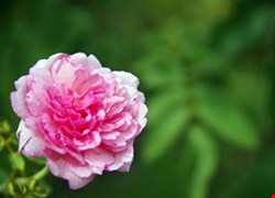 文章縮圖