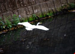 文章縮圖