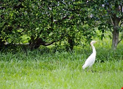 文章縮圖