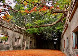 文章縮圖