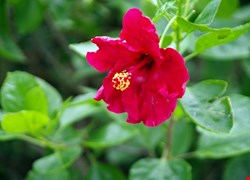 文章縮圖