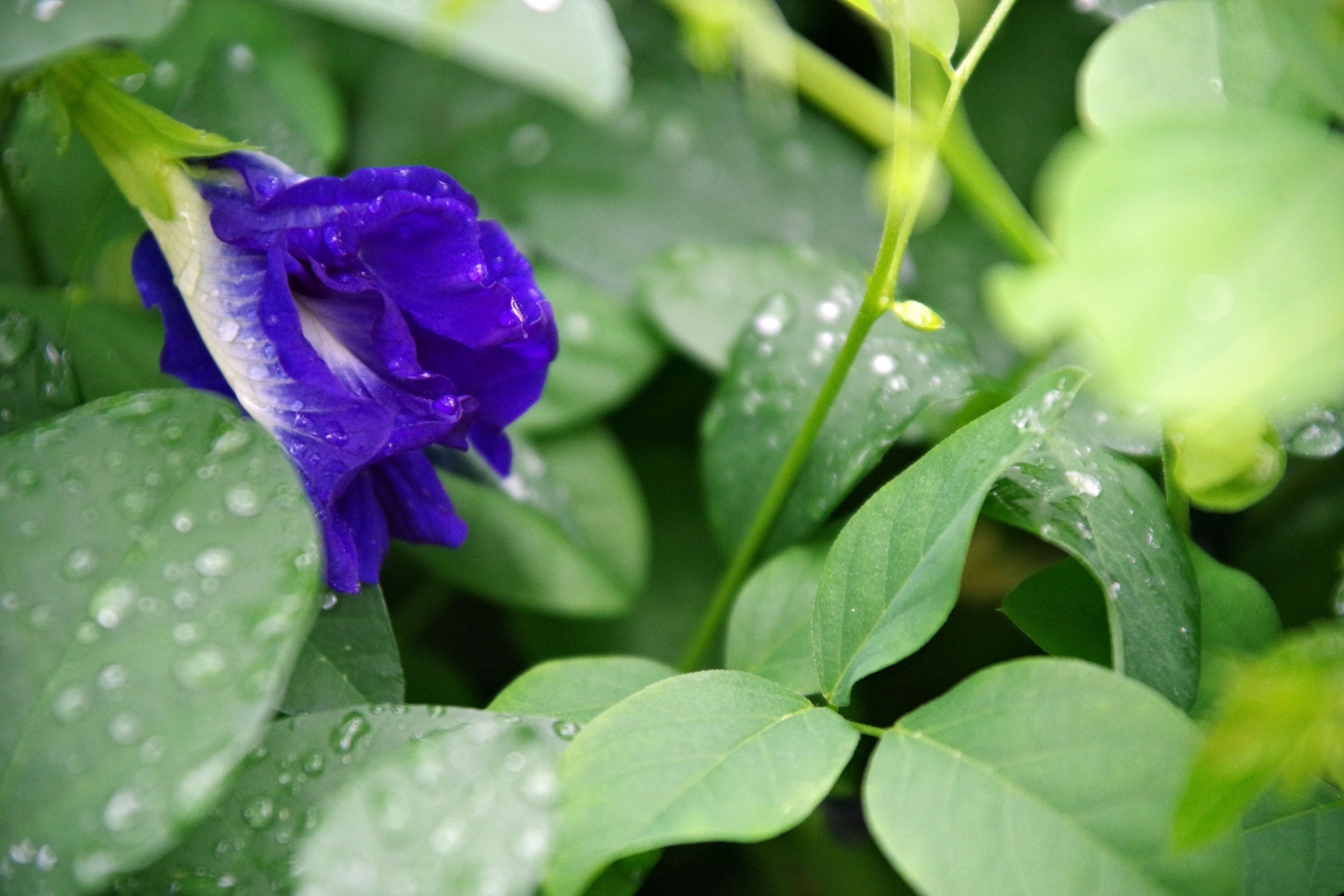 親子同室的好處