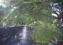 文章縮圖