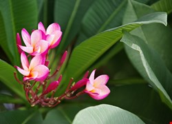 文章縮圖