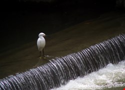 文章縮圖