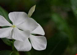 文章縮圖