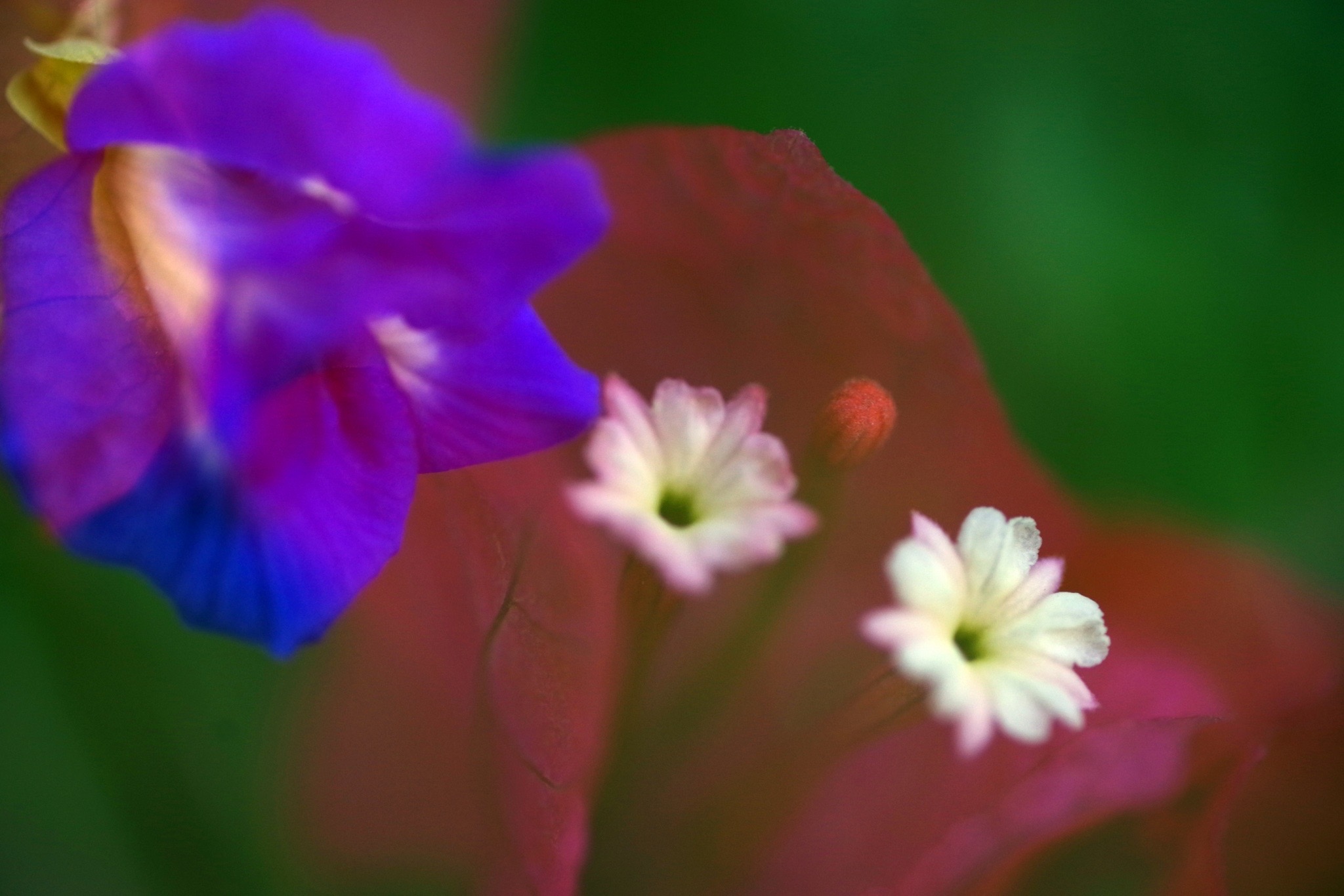 杜絕二手菸及三手菸