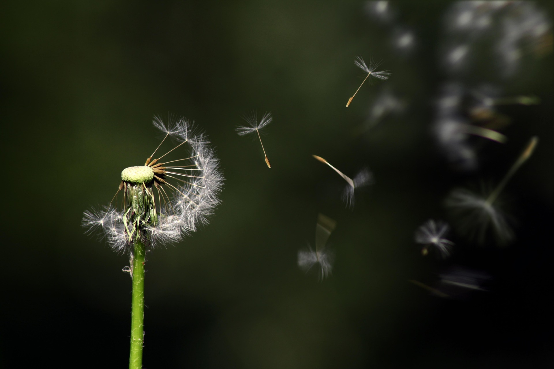 杜絕二手菸及三手菸