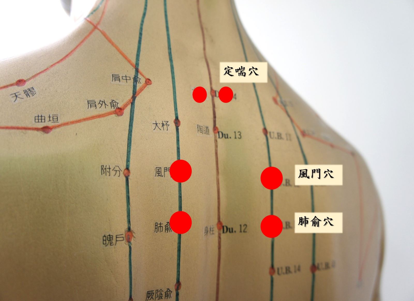 示範圖片、新聞畫面擷取等
