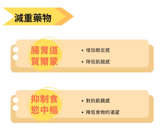 減重藥物 腸胃道 賀爾蒙： ·增加飽足感 降低飢餓感 抑制食慾中樞： 對抗飢餓感 降低食物的渴望
