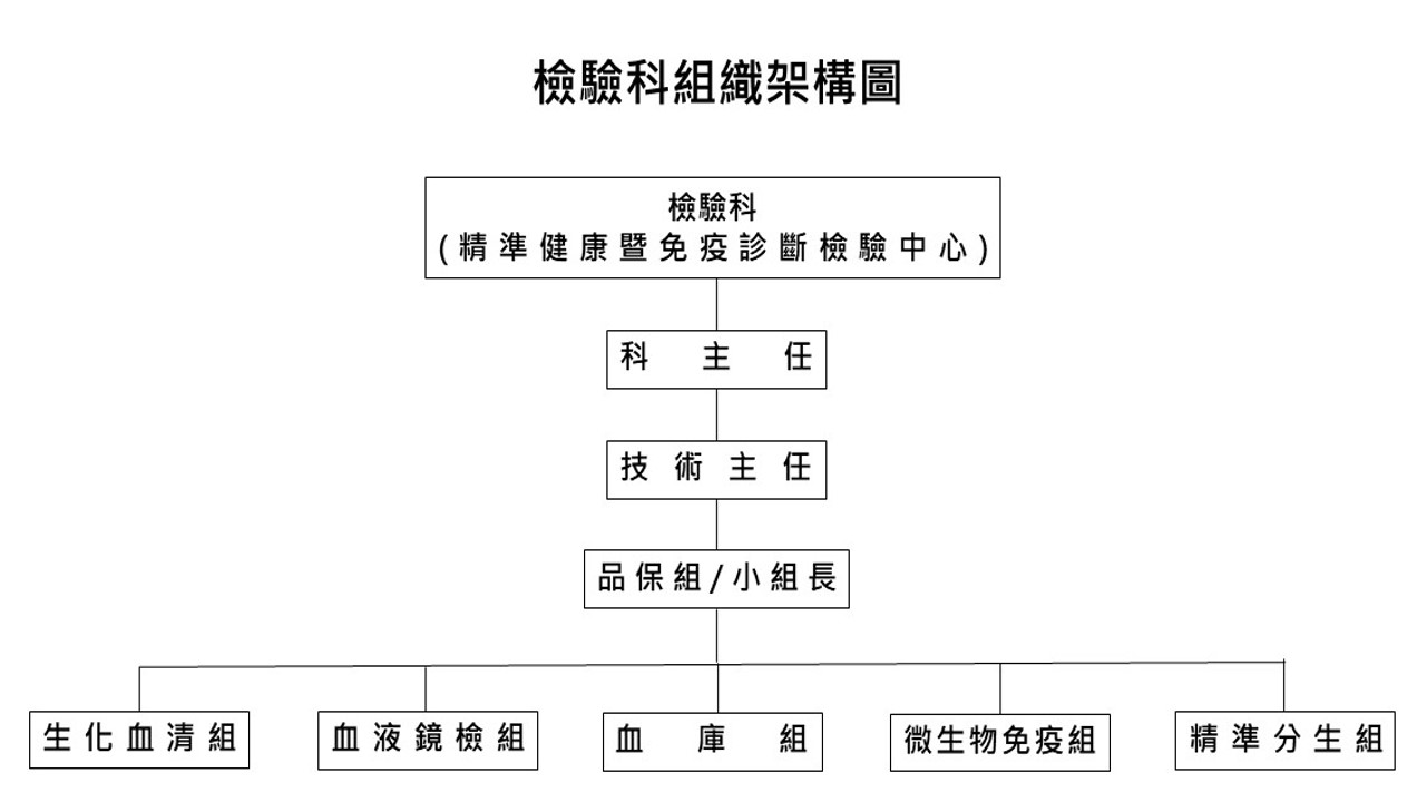 組織架構圖