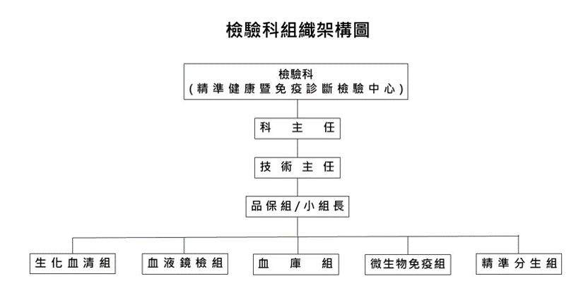 組織架構圖