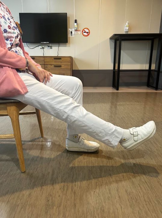 示意圖